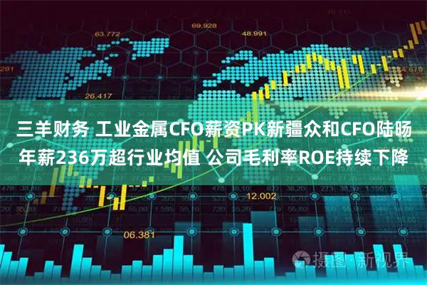 三羊财务 工业金属CFO薪资PK新疆众和CFO陆旸年薪236万超行业均值 公司毛利率ROE持续下降