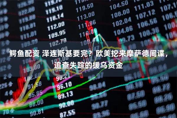 鳄鱼配资 泽连斯基要完？欧美挖来摩萨德间谍，追查失踪的援乌资金